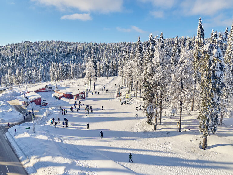 Mehrere Skifahrer auf einer Skipiste im Bayerischen Wald